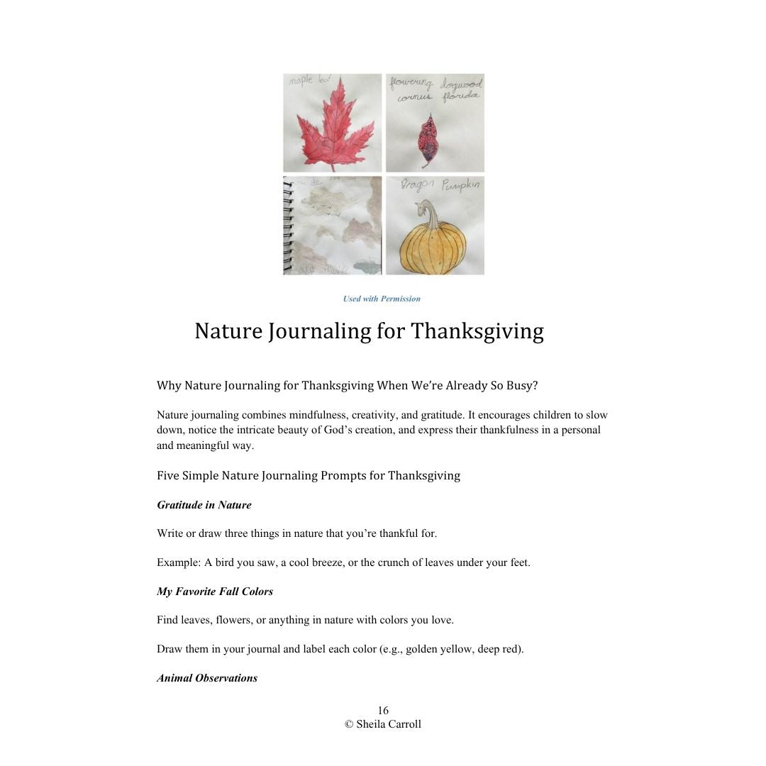 Thanksgiving Nature Study: Exploring Creation with Gratitude and Wonder