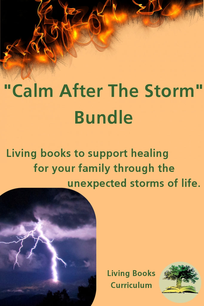 Calm After The Storm Bundle