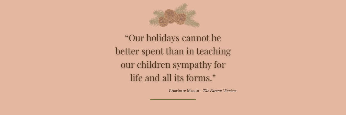 Preparing a child's heart for the holidays