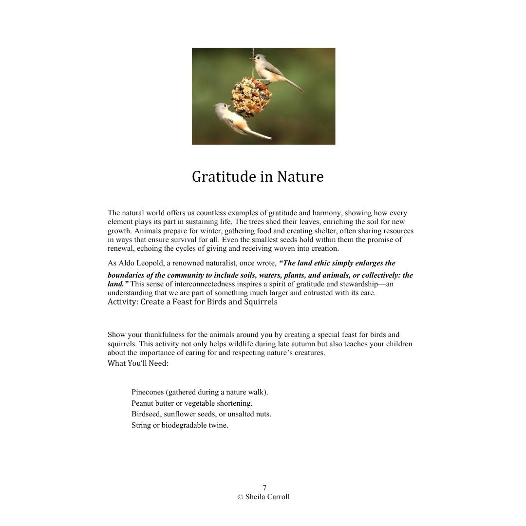 Thanksgiving Nature Study: Exploring Creation with Gratitude and Wonder