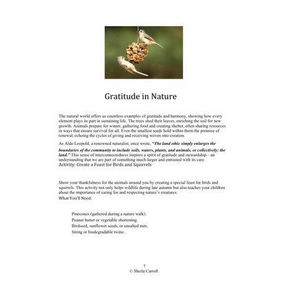 Thanksgiving Nature Study: Exploring Creation with Gratitude and Wonder