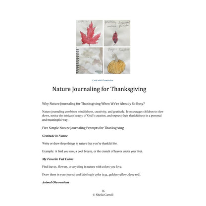 Thanksgiving Nature Study: Exploring Creation with Gratitude and Wonder