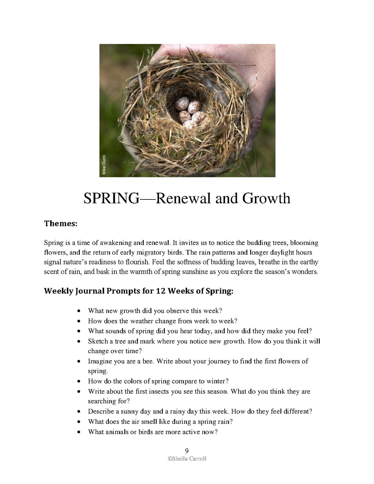 Nature Study Seasonal Planner: Weekly Prompts, Nature Walks, Copy Work & Yearly Plan